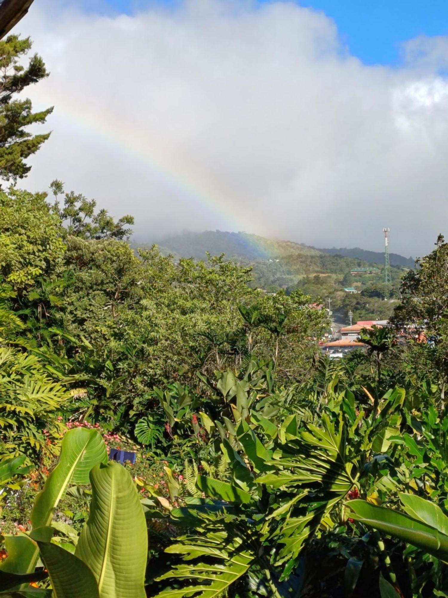 克拉罗卢纳酒店 Monteverde 外观 照片