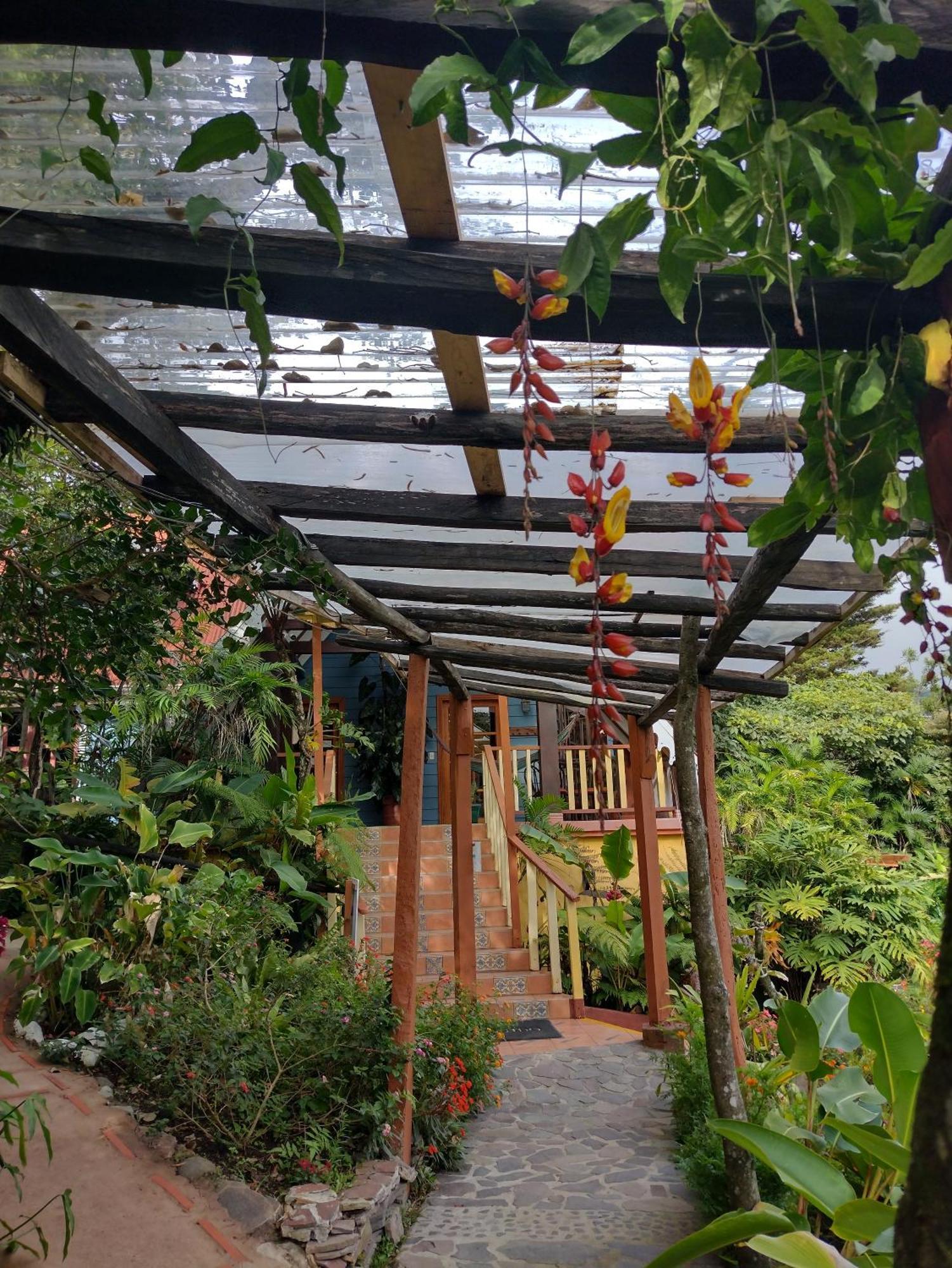 克拉罗卢纳酒店 Monteverde 外观 照片