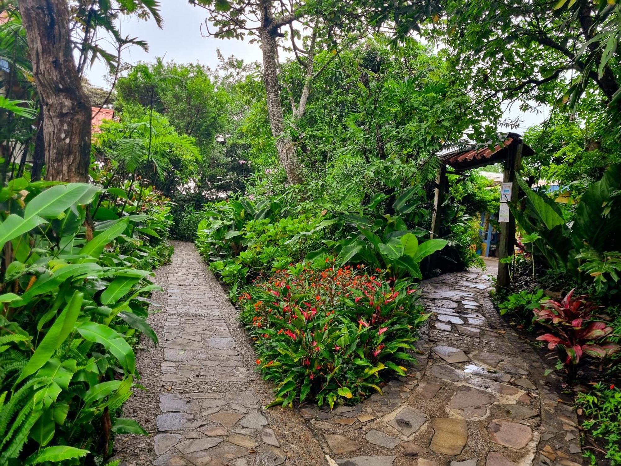 克拉罗卢纳酒店 Monteverde 外观 照片